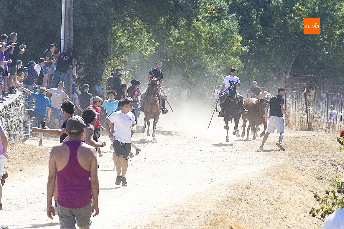 Encierro a caballo en Navasfrías por su Semana Cultural