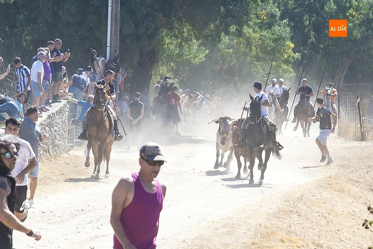 Encierro a caballo en Navasfrías por su Semana Cultural