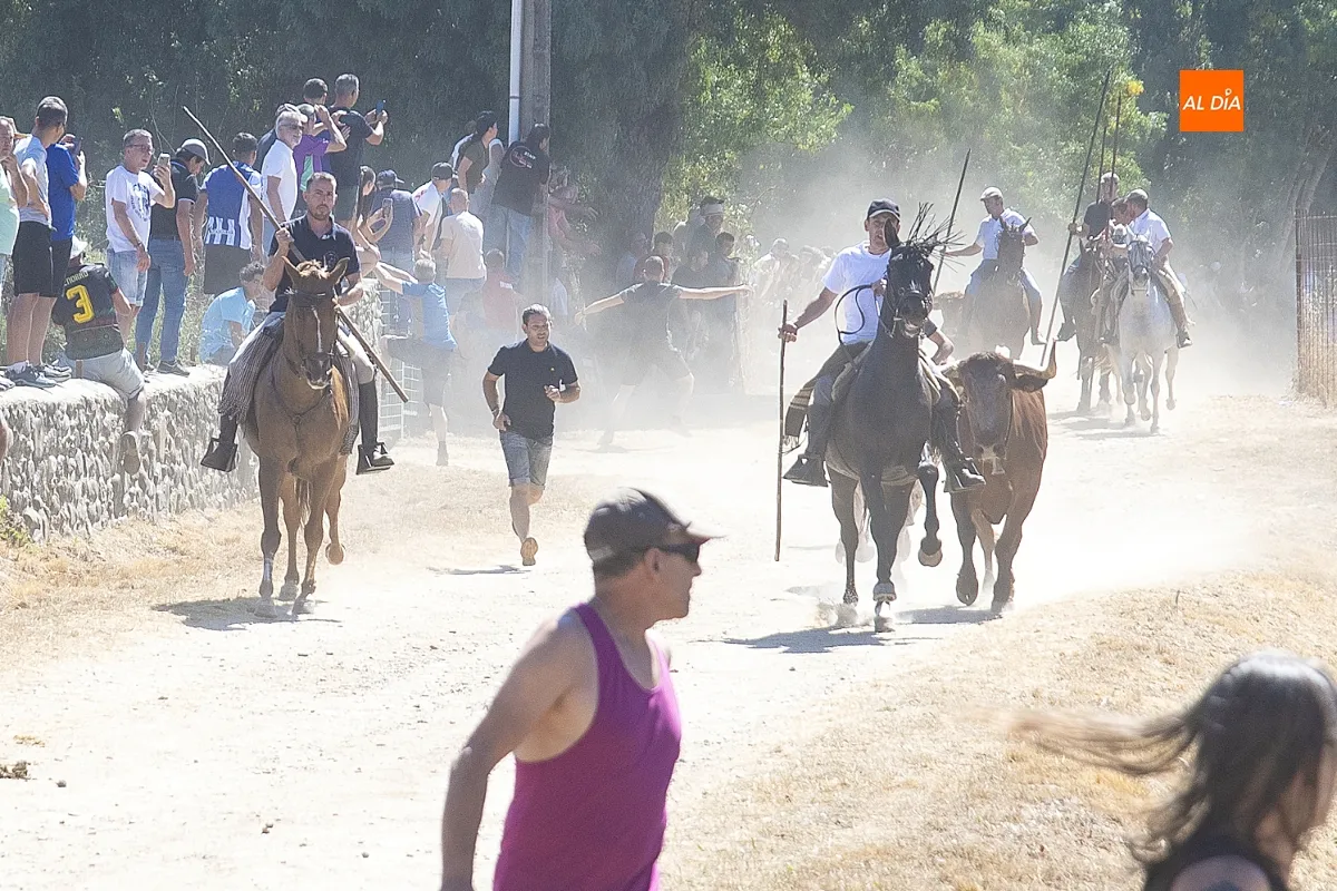 Encierro a caballo en Navasfrías por su Semana Cultural