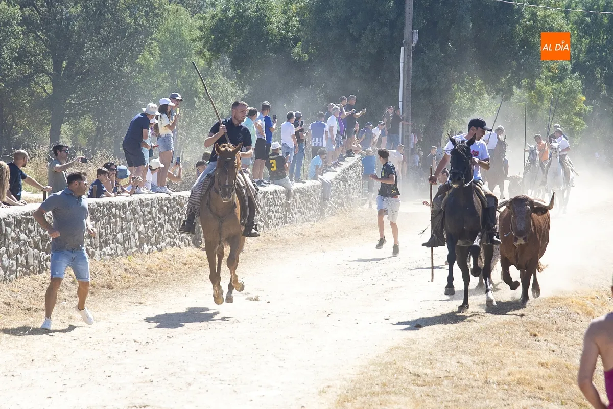 Encierro a caballo en Navasfrías por su Semana Cultural