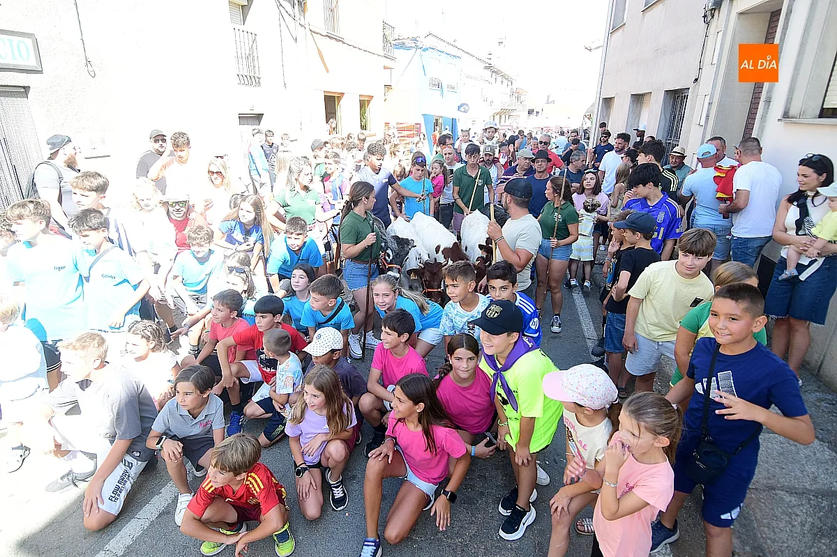 Encierro de Minibueyes en El Bodón