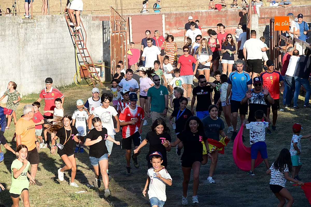 Encierro de minibueyes en Villar de la Yegua