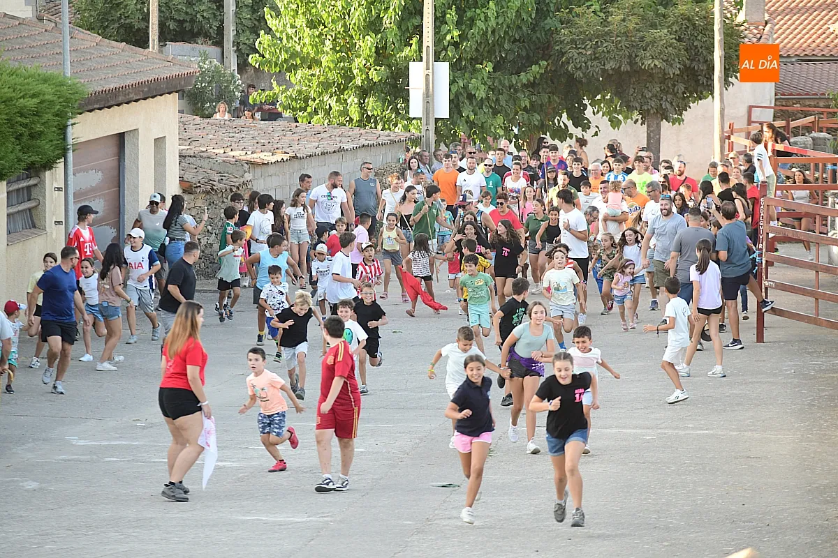Encierro de minibueyes en Villar de la Yegua