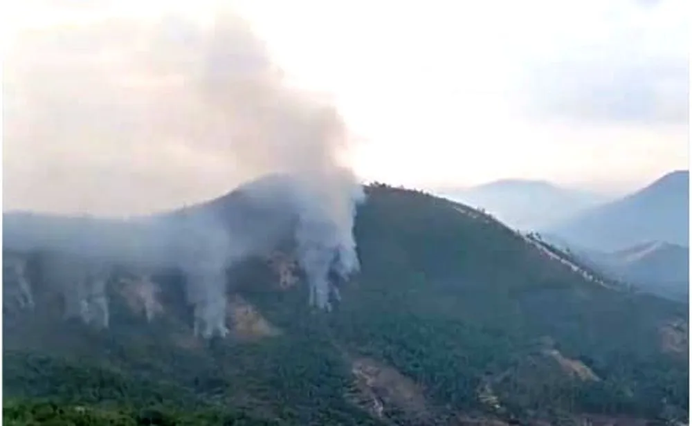 Incendio de Pinofranqueado, en Extremadura. Foto INFOEX