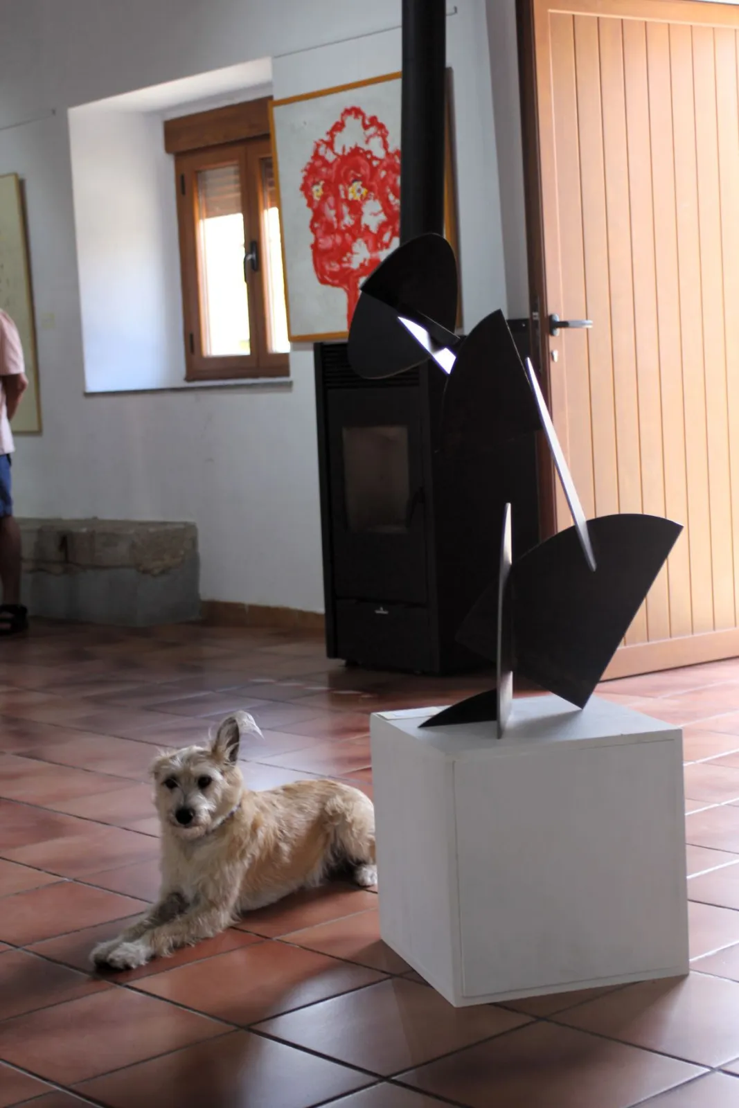 La exposición de David Fronce llena de “Ideas y color” hasta el 29 de agosto la sala consistorial de Monleón