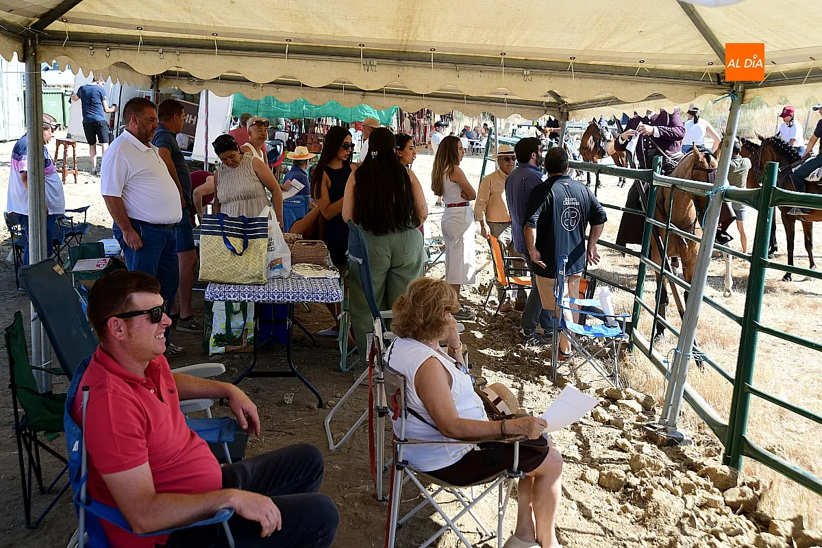 Foto 3 - Un arranque muy igualado en la 43.&ordf; edici&oacute;n del Concurso Intercomunitario de Faenas y Doma de Campo