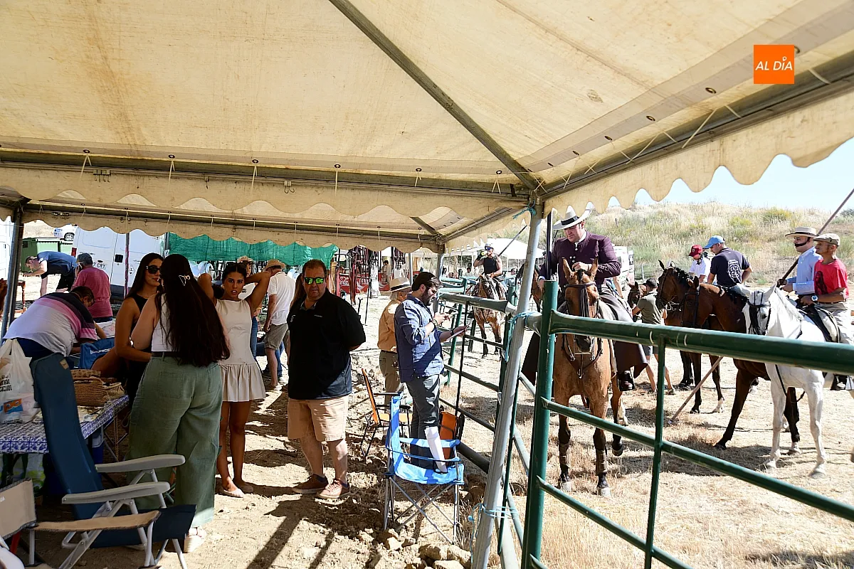 Foto 2 - Un arranque muy igualado en la 43.&ordf; edici&oacute;n del Concurso Intercomunitario de Faenas y Doma de Campo