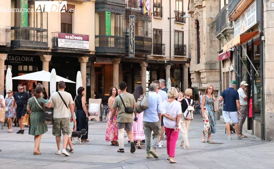 Bajas laborales en Salamanca: causas y brecha de género