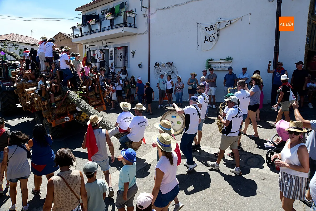 Izado Roble Quintos 61 Robleda