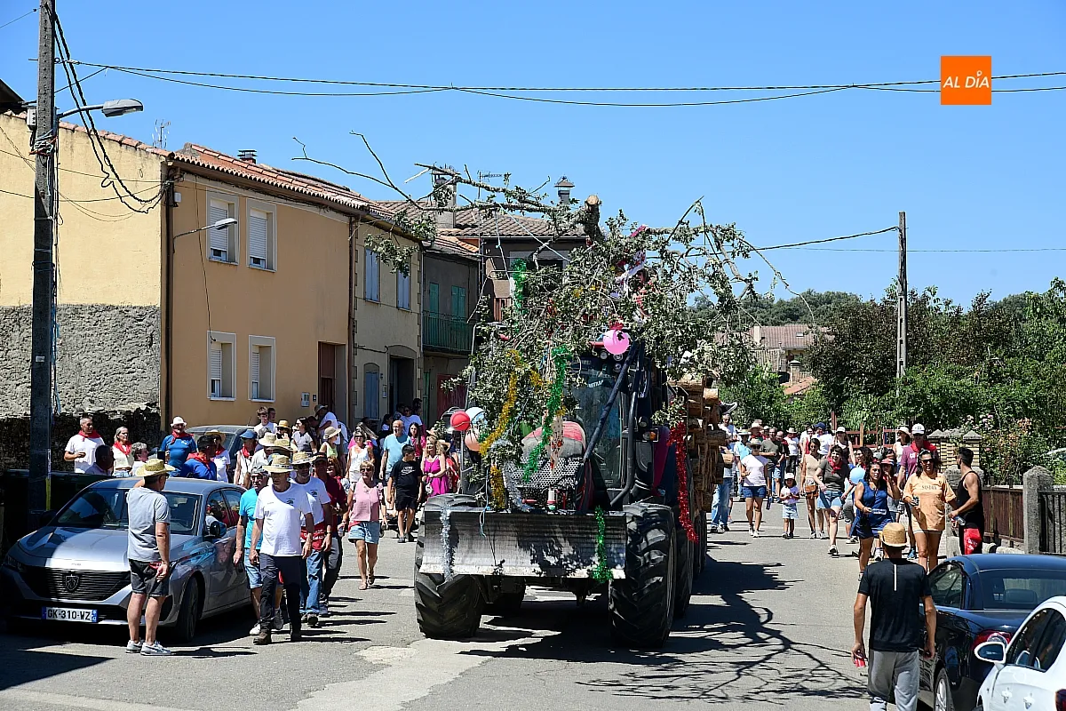 Izado Roble Quintos 61 Robleda
