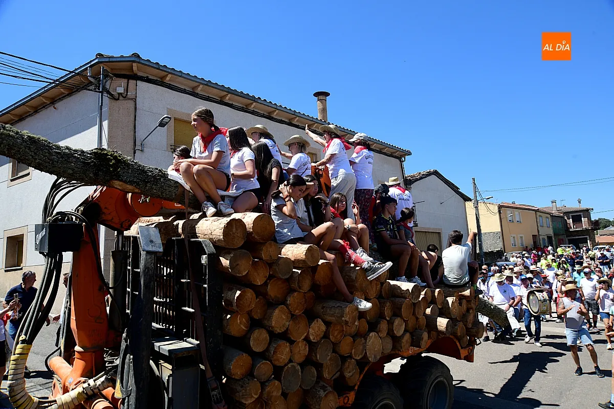 Izado Roble Quintos 61 Robleda