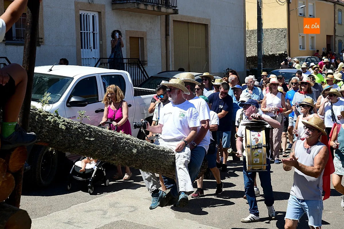 Izado Roble Quintos 61 Robleda