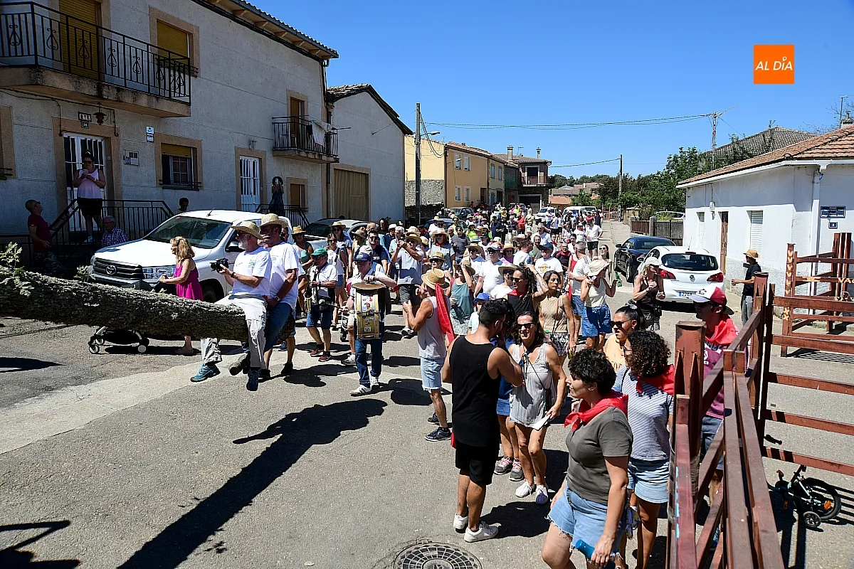 Izado Roble Quintos 61 Robleda