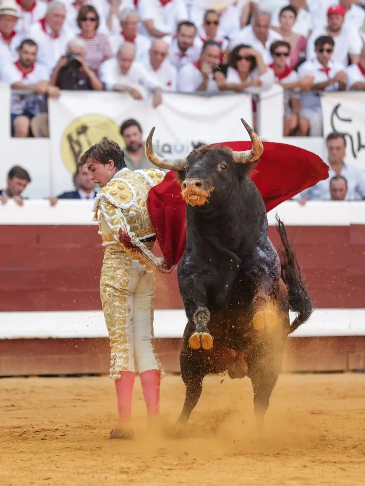 Julio Norte triunfa en su alternativa en Dax y sale a hombros. Foto Comisión Taurina de Dax