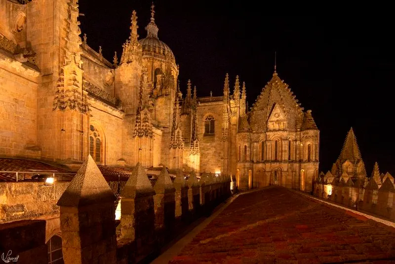 La Noche de los Fotógrafos en Ieronimus Salamanca