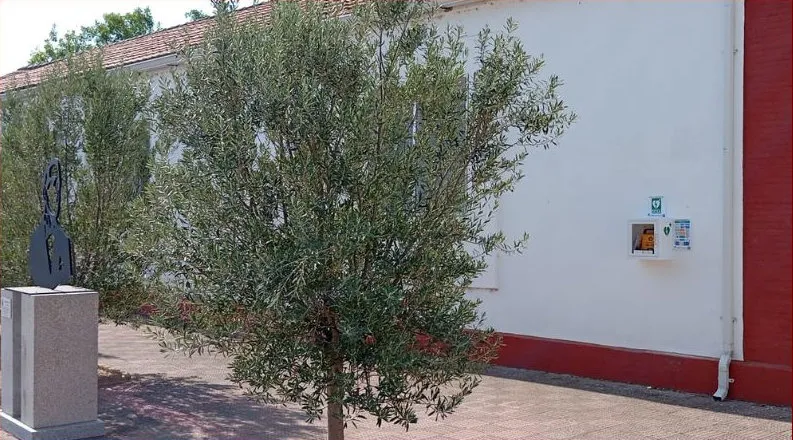 Pedrosillo de Alba ya es un municipio cardioprotegido