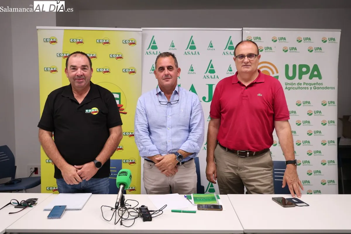 Juan Luis Delgado (ASAJA Salamanca), Carlos Sánchez (UPA Salamanca) y José Manuel Cortes (COAG Salamanca) en la rueda de prensa de este viernes. Foto de David Sañudo