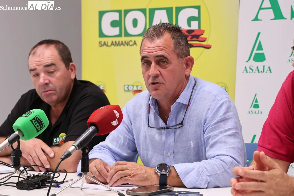 Juan Luis Delgado (ASAJA Salamanca), Carlos Sánchez (UPA Salamanca) y José Manuel Cortes (COAG Salamanca) en la rueda de prensa de este viernes. Foto de David Sañudo