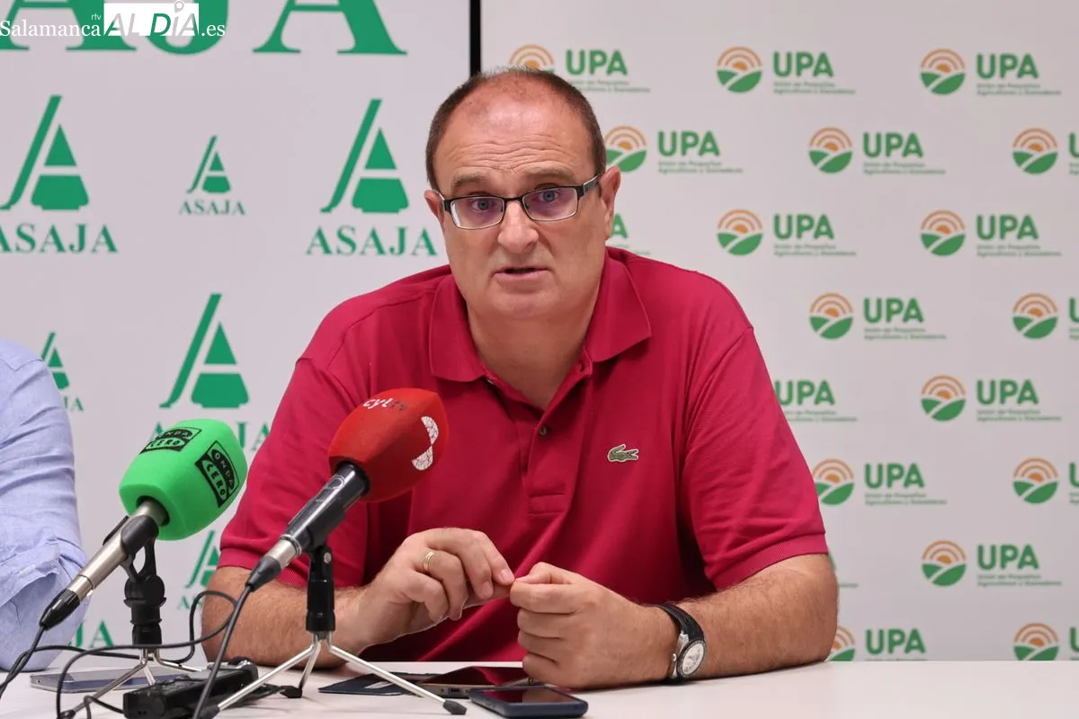 Juan Luis Delgado (ASAJA Salamanca), Carlos Sánchez (UPA Salamanca) y José Manuel Cortes (COAG Salamanca) en la rueda de prensa de este viernes. Foto de David Sañudo
