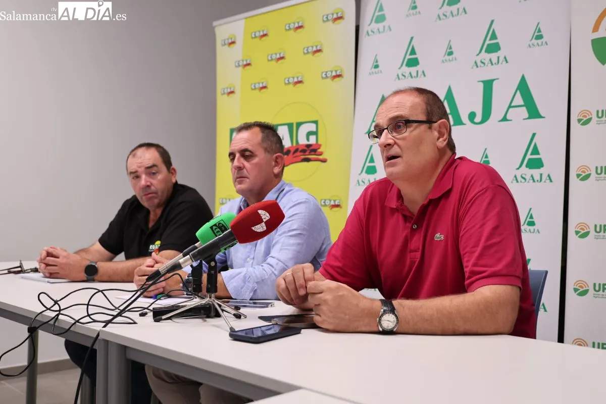 Juan Luis Delgado (ASAJA Salamanca), Carlos Sánchez (UPA Salamanca) y José Manuel Cortes (COAG Salamanca) en la rueda de prensa de este viernes. Foto de David Sañudo
