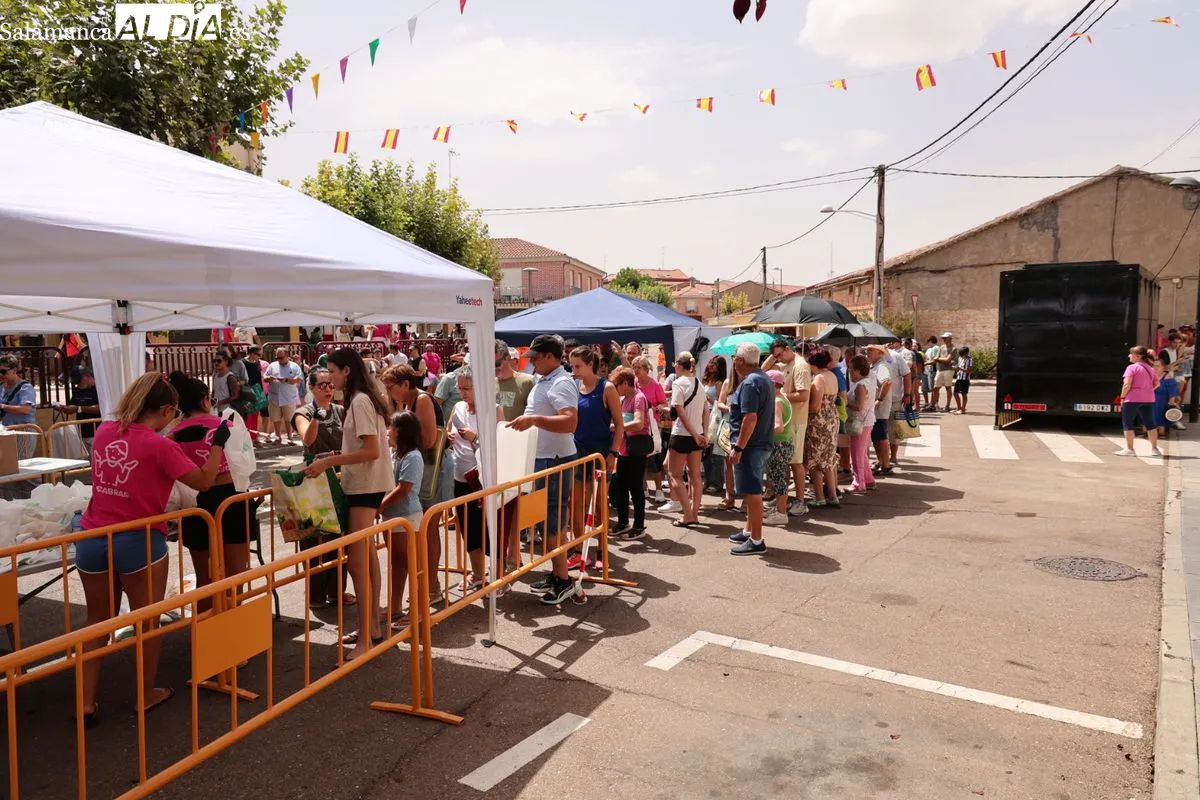 Foto 4 - FOTOS | Castellanos de Moriscos celebra su multitudinaria paella popular por las fiestas