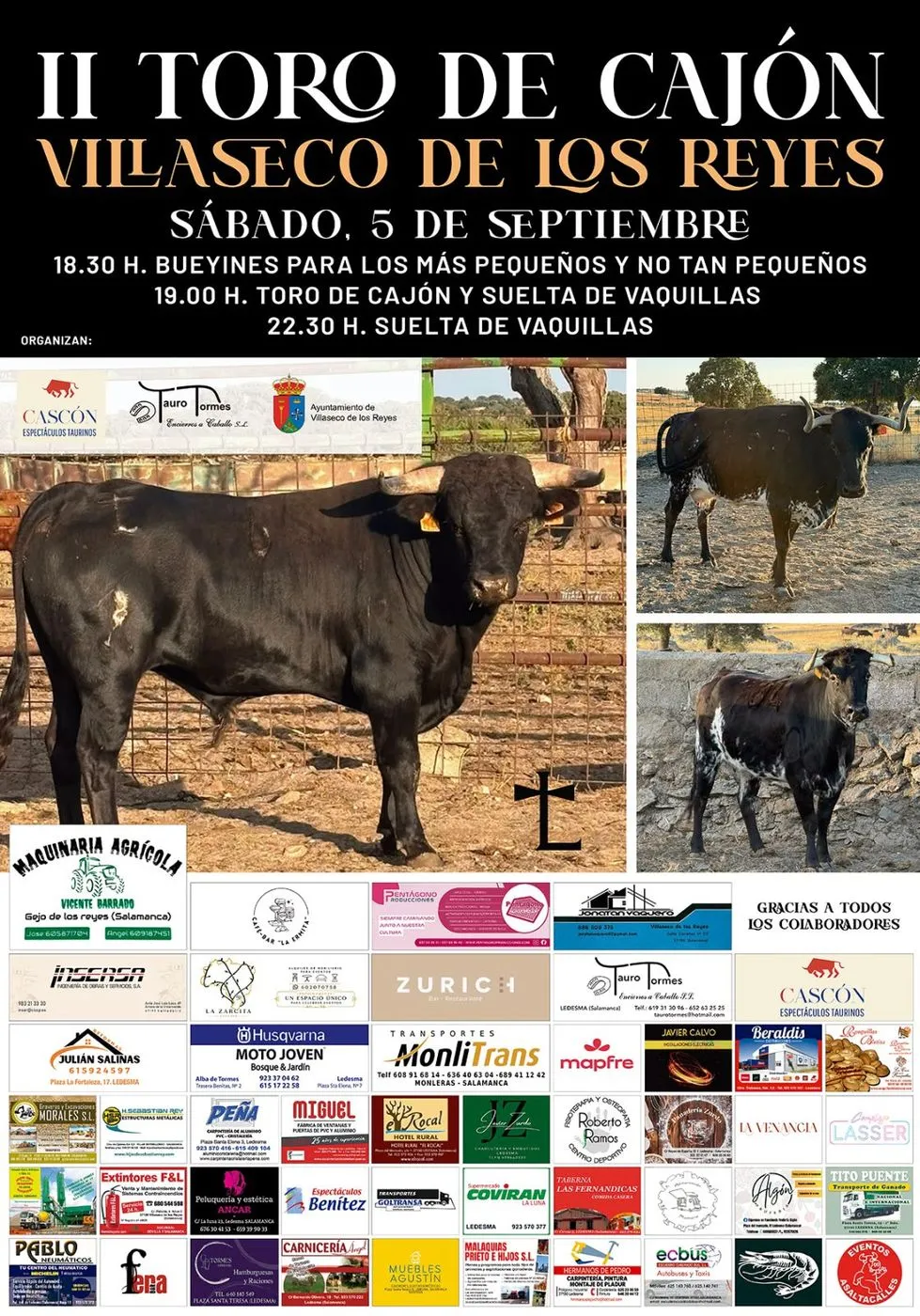 Cartel del II Toro de Cajón de Villaseco de los Reyes