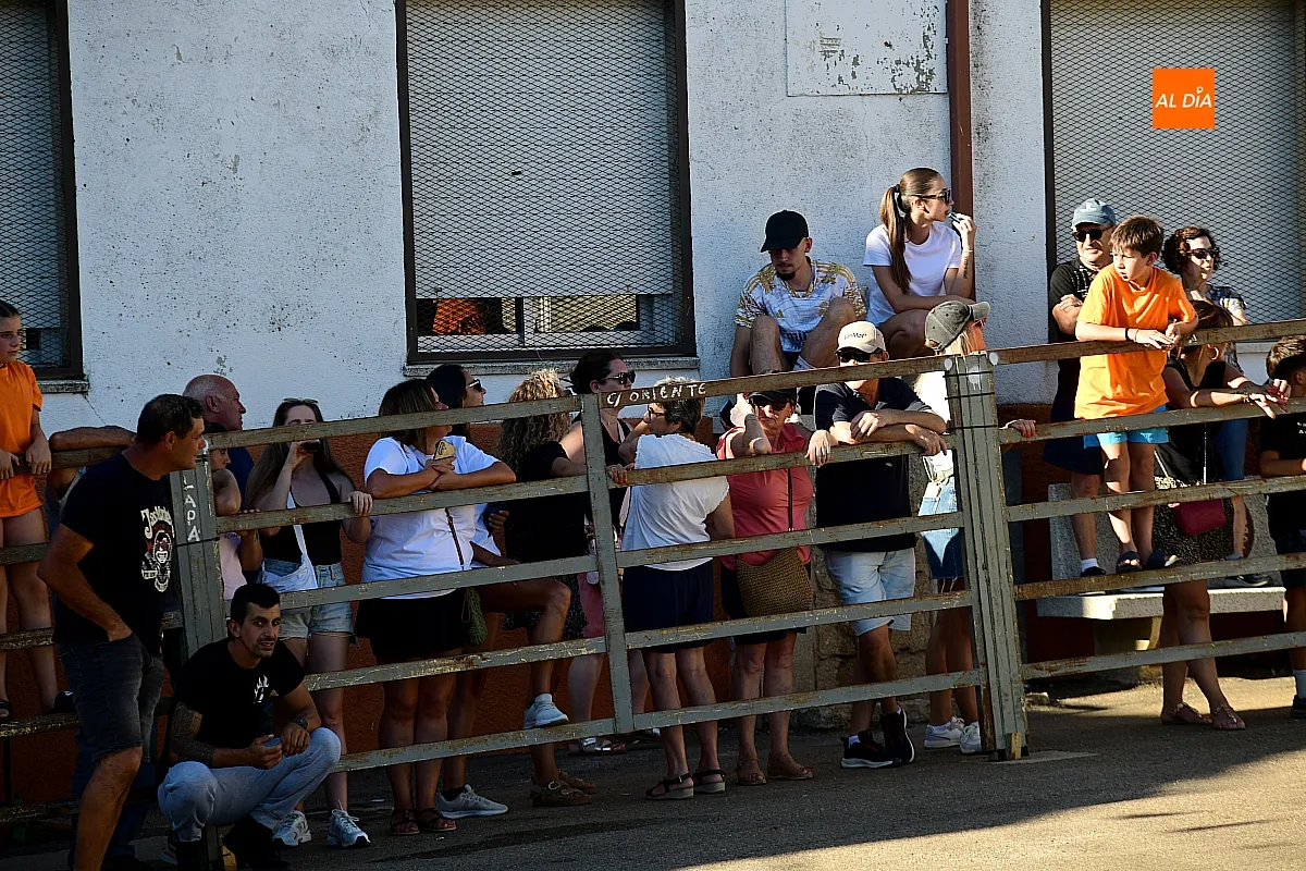 Vaquillas en Agallas