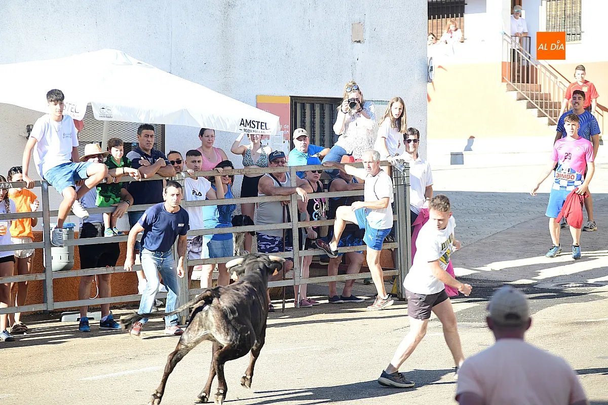 Vaquillas en Agallas