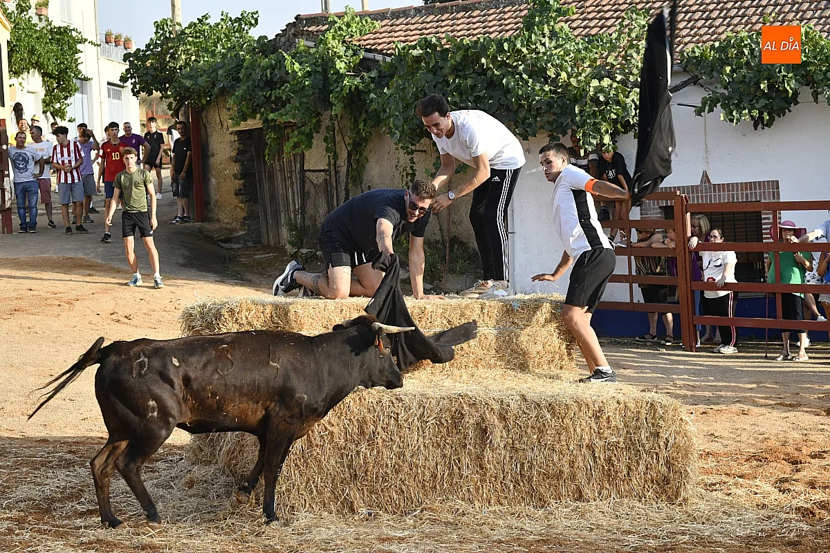 La Atalaya celebra sus fiestas del 14 al 16 de agosto