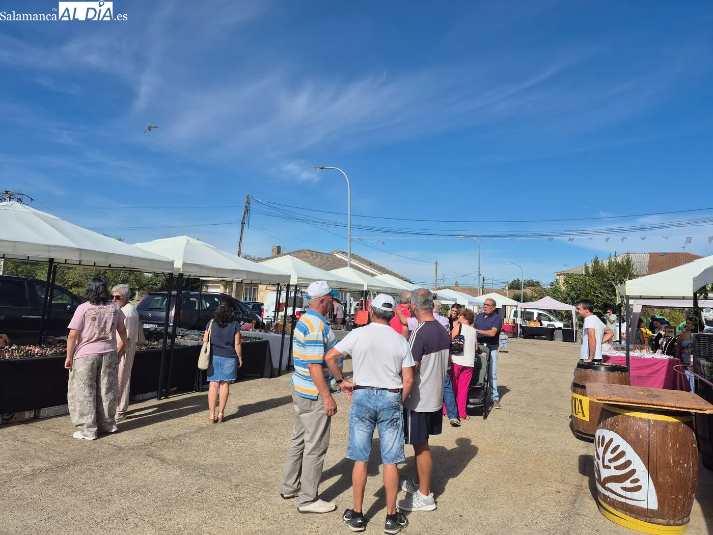 X Feria de Artesanía y Alimentación de Villar de Peralonso / ARIAS