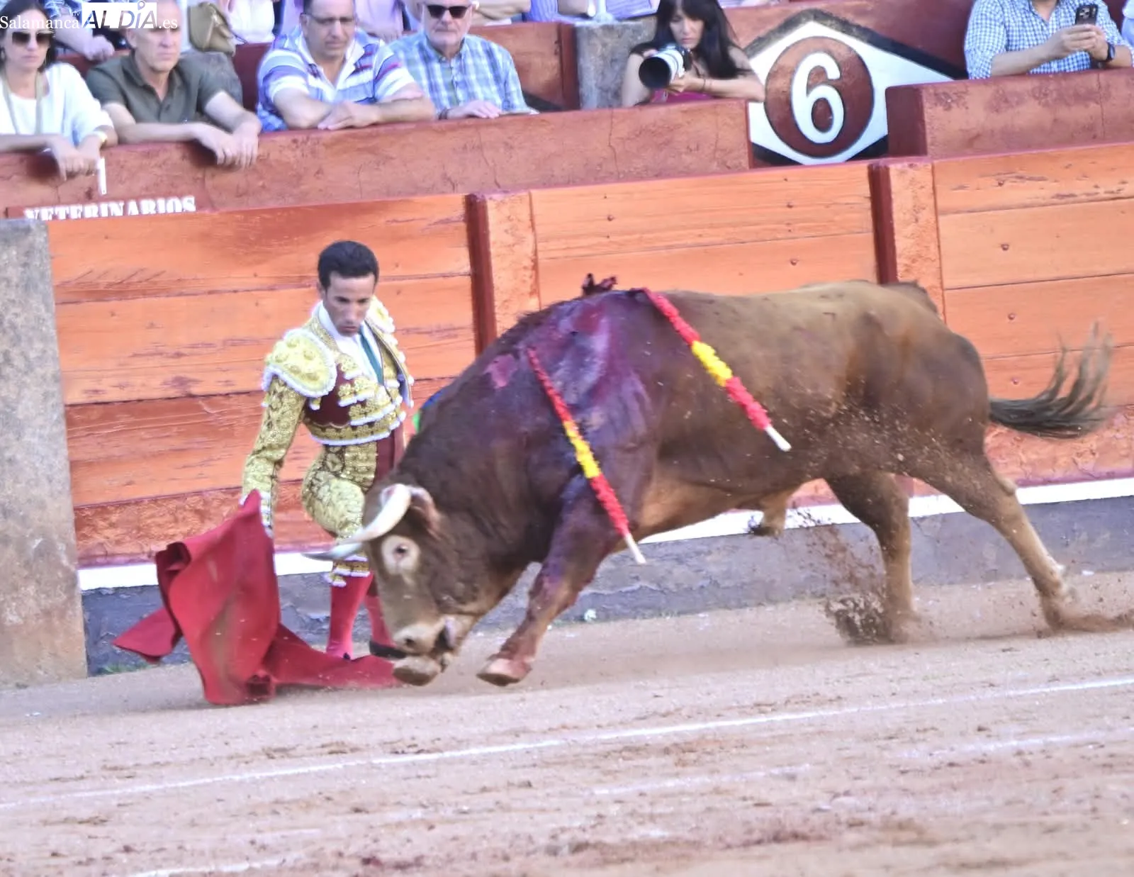 Foto 17 - Palmas por Huelva 