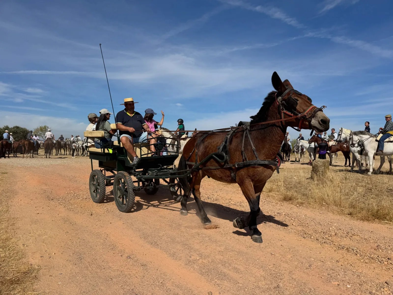 Ruta a caballo Pedrotoro en beneficio de AFAD