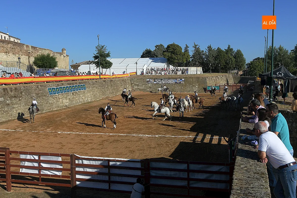 Concurso de apartado de vaca Feria del Caballo