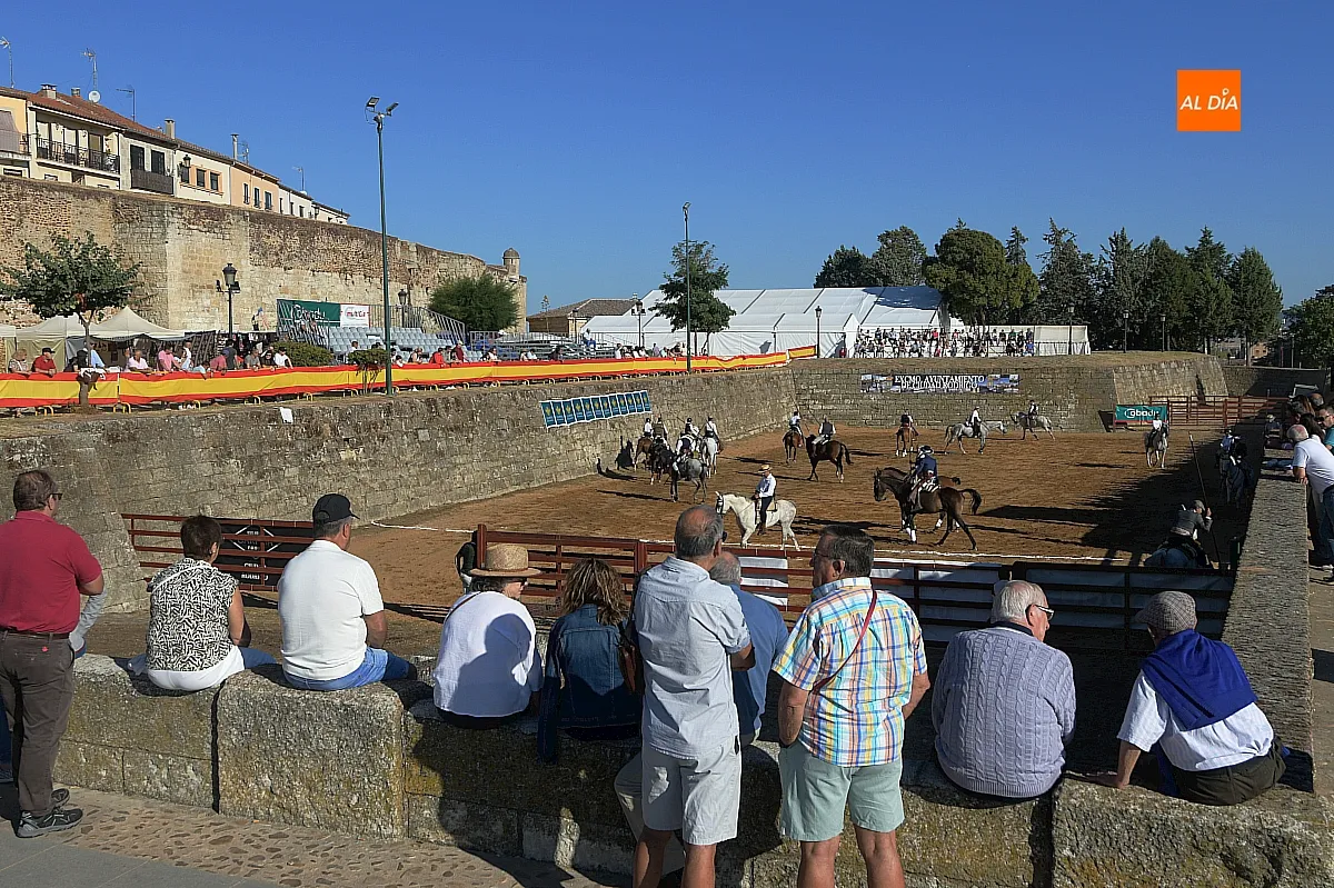 Concurso de apartado de vaca Feria del Caballo