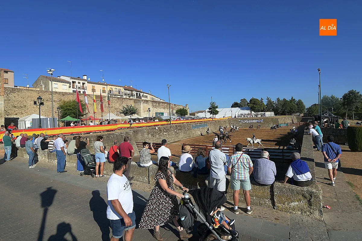 Concurso de apartado de vaca Feria del Caballo
