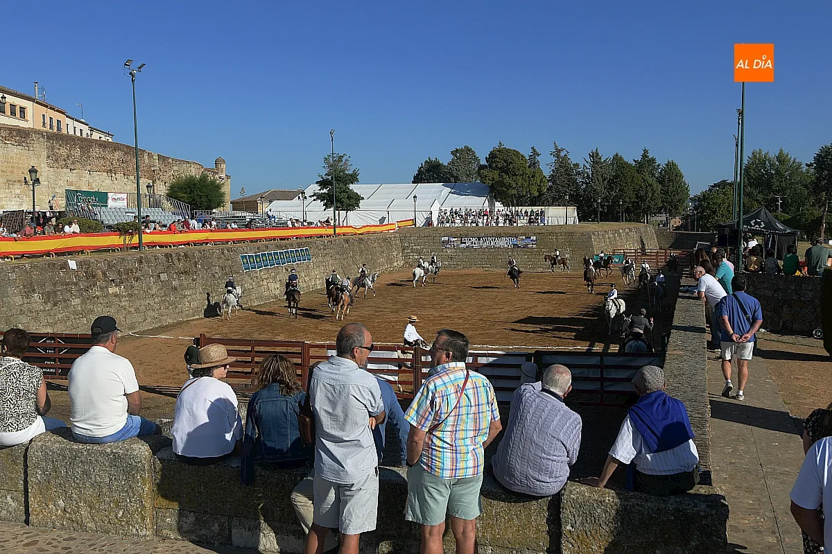 Concurso de apartado de vaca Feria del Caballo