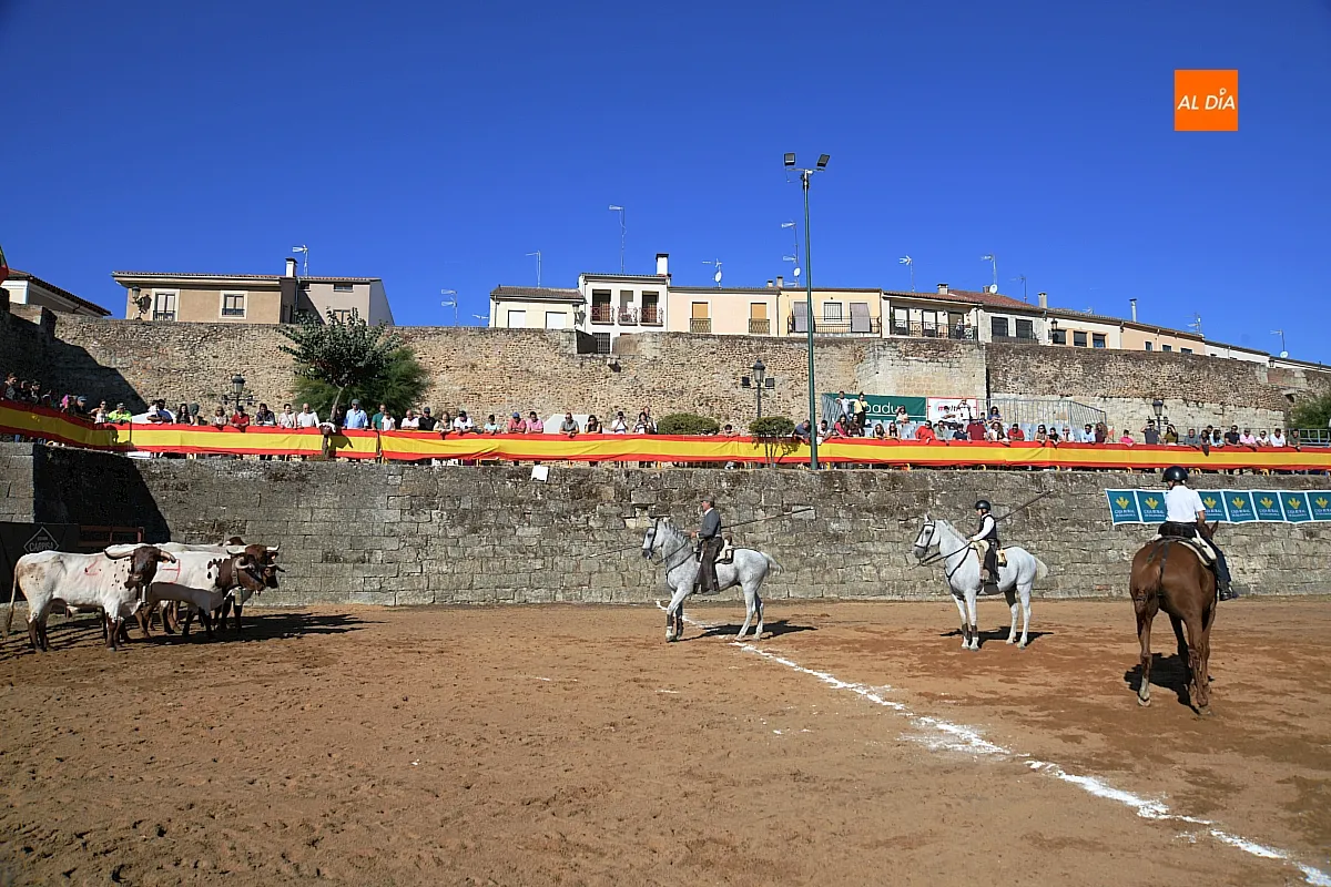 Concurso de apartado de vaca Feria del Caballo