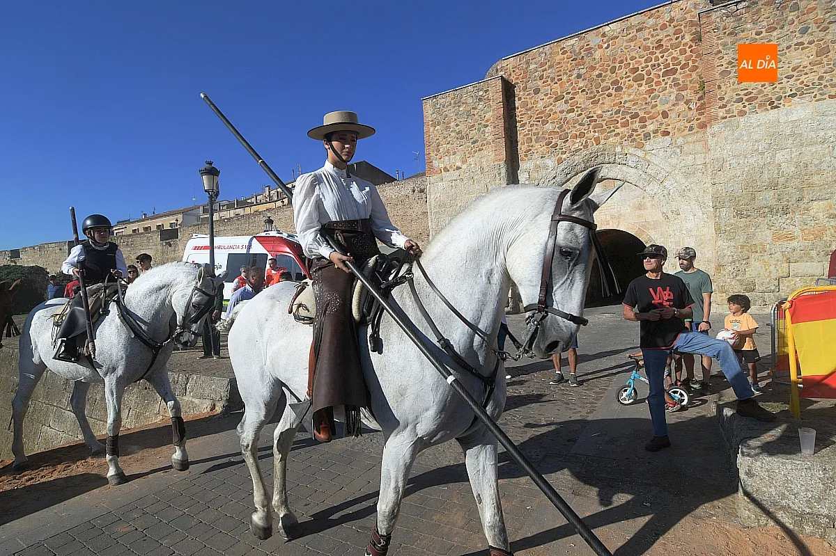 Concurso de apartado de vaca Feria del Caballo