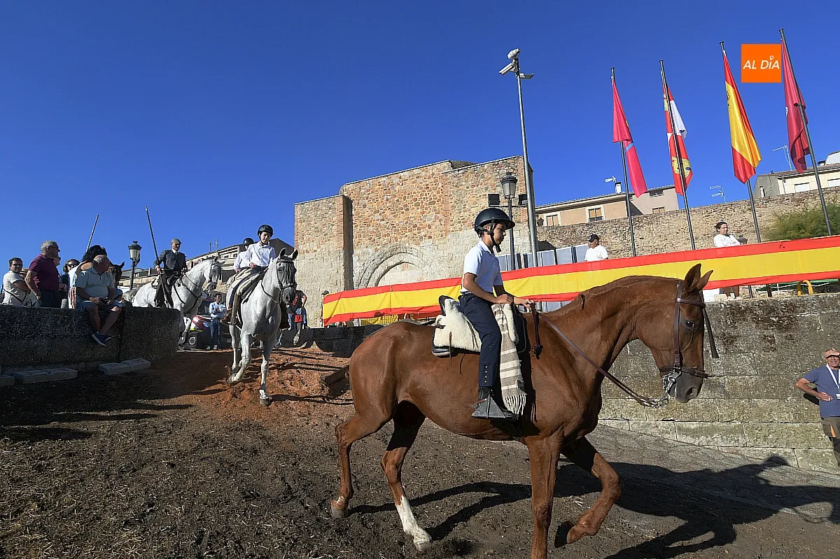 Concurso de apartado de vaca Feria del Caballo