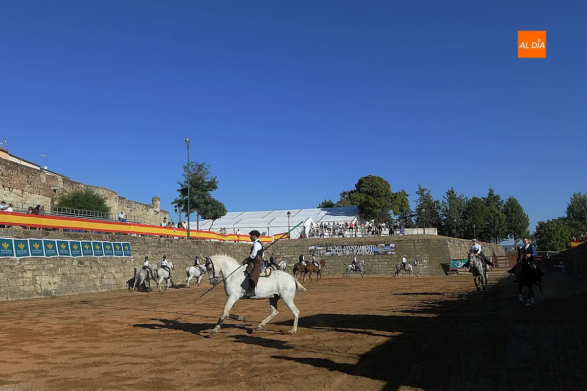 Concurso de apartado de vaca Feria del Caballo