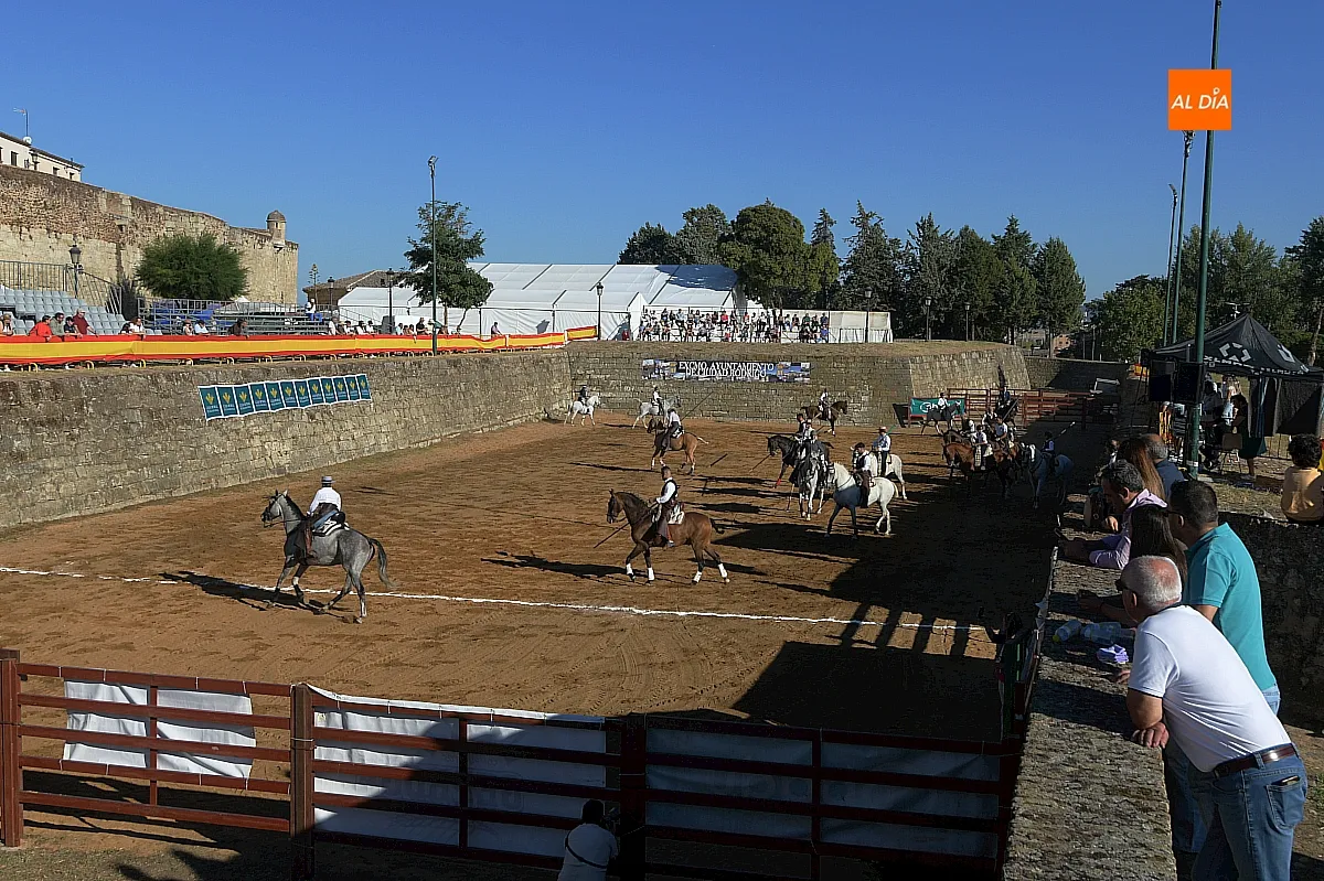 Concurso de apartado de vaca Feria del Caballo