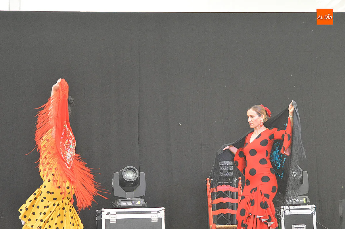 Foto 17 - La XXV Feria del Caballo combina flamenco y cuidado del caballo en su programaci&oacute;n matinal