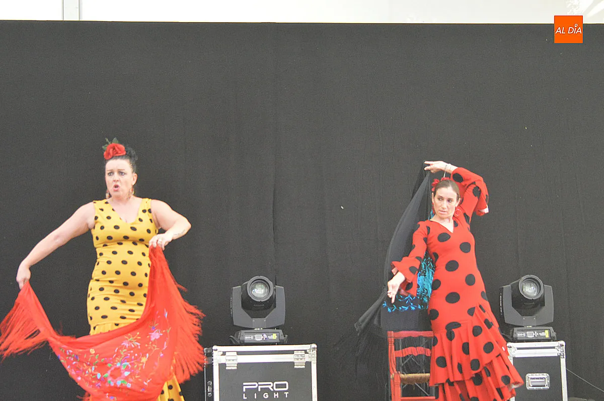 Foto 18 - La XXV Feria del Caballo combina flamenco y cuidado del caballo en su programaci&oacute;n matinal