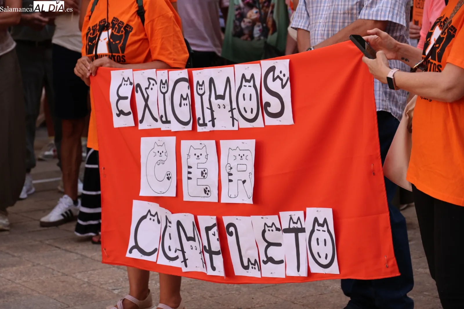 Las protectoras de Salamanca exigen por ley la gestión municipal de las colonias felinas | Fotos: David Sañudo