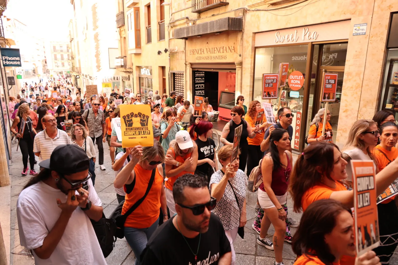 Las protectoras de Salamanca exigen por ley la gestión municipal de las colonias felinas | Fotos: David Sañudo