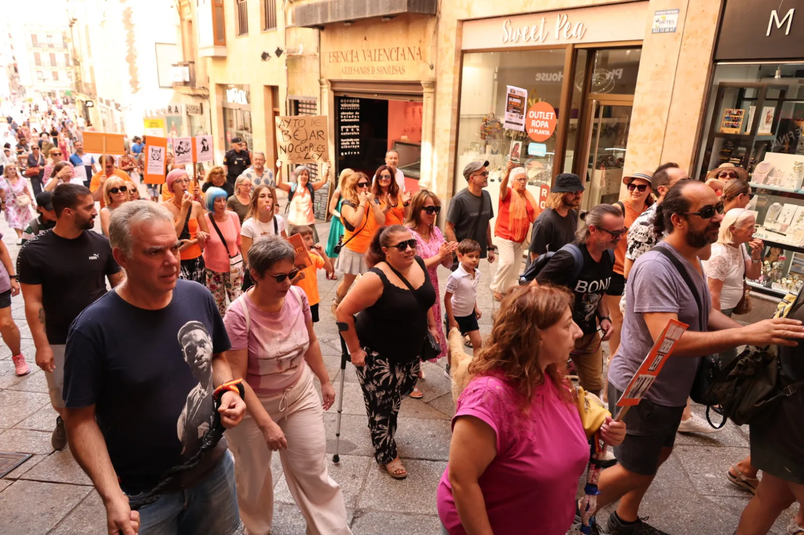 Las protectoras de Salamanca exigen por ley la gestión municipal de las colonias felinas | Fotos: David Sañudo