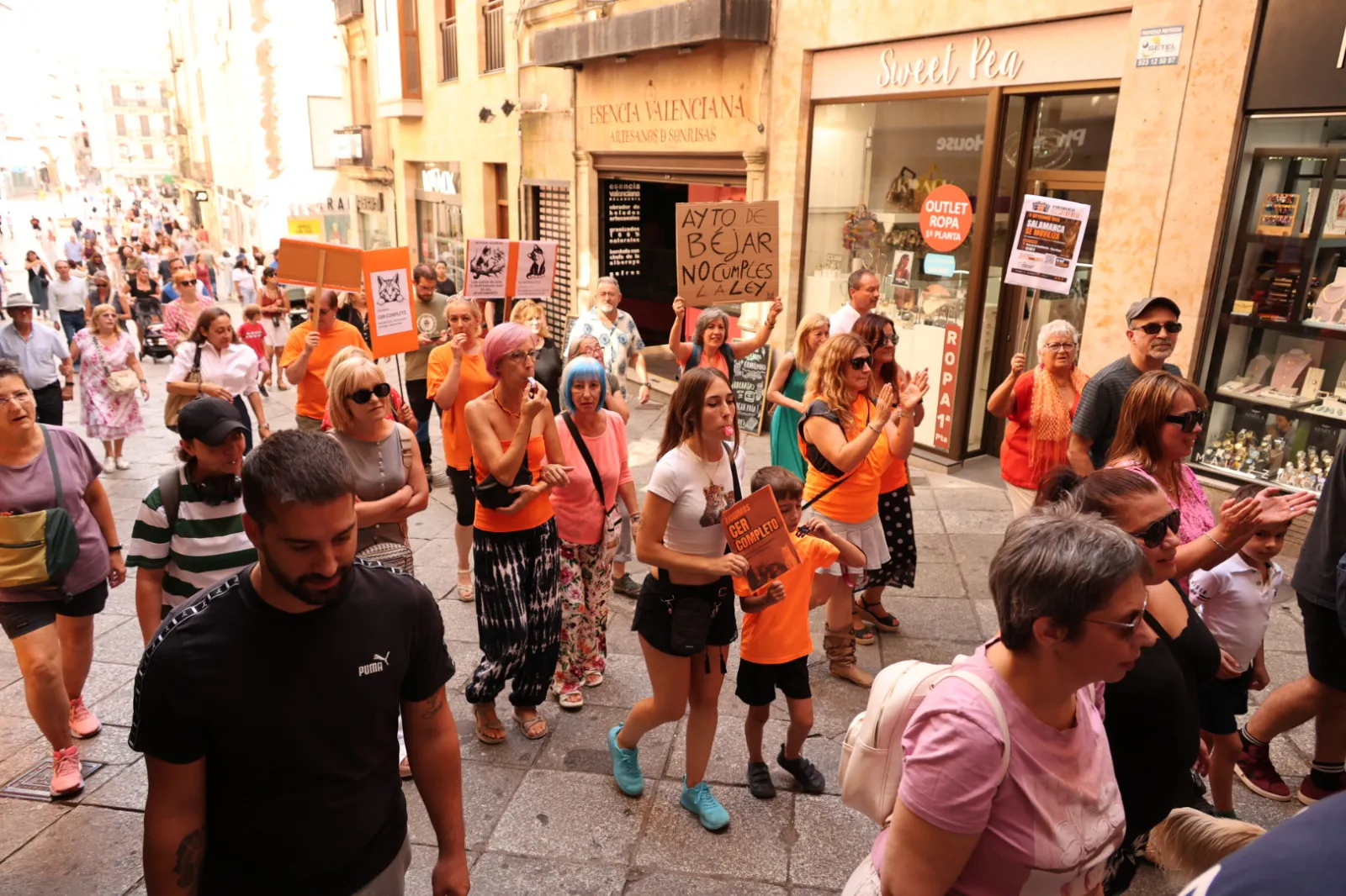 Las protectoras de Salamanca exigen por ley la gestión municipal de las colonias felinas | Fotos: David Sañudo