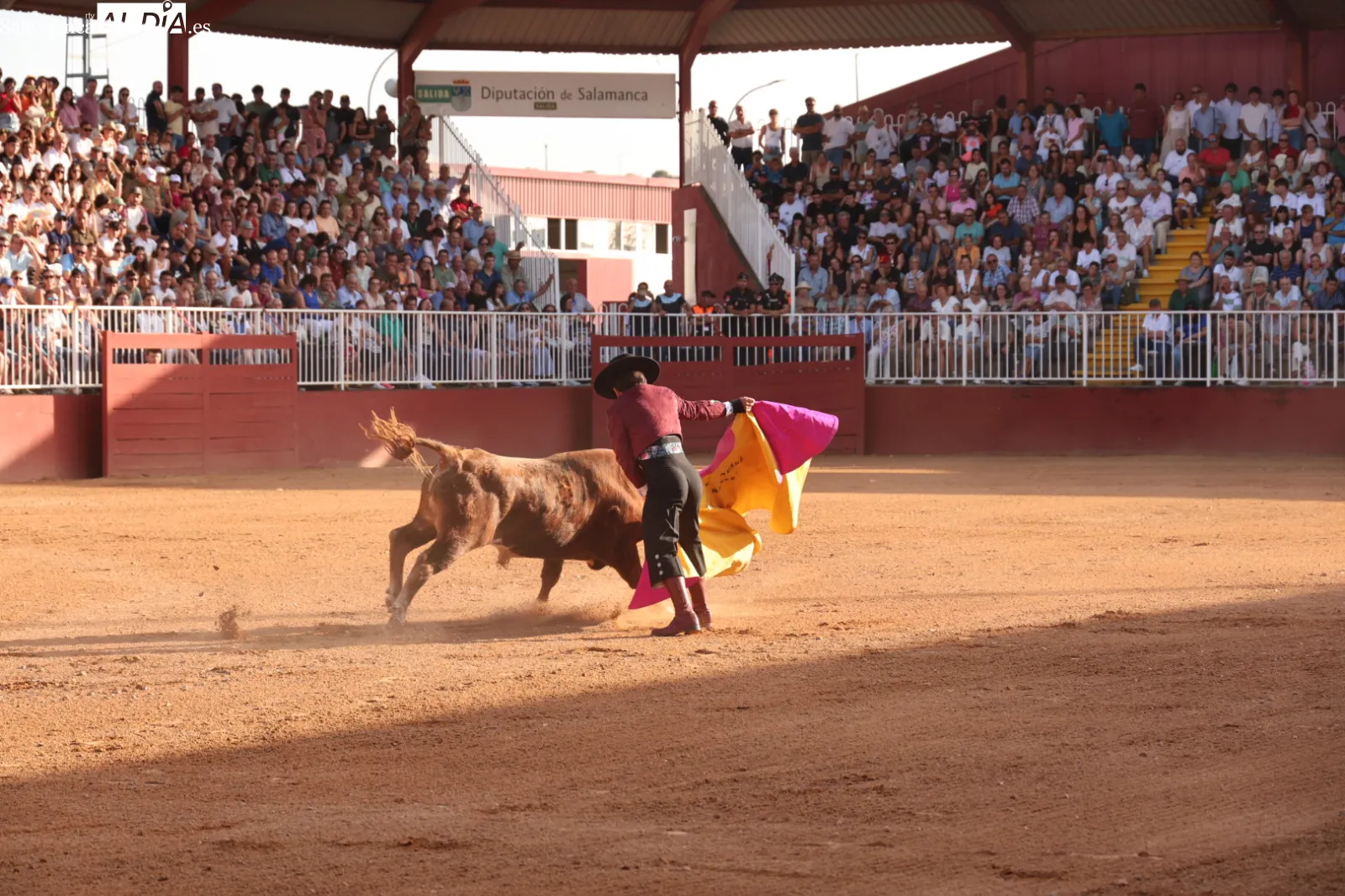 FOTOS: David Sañudo 