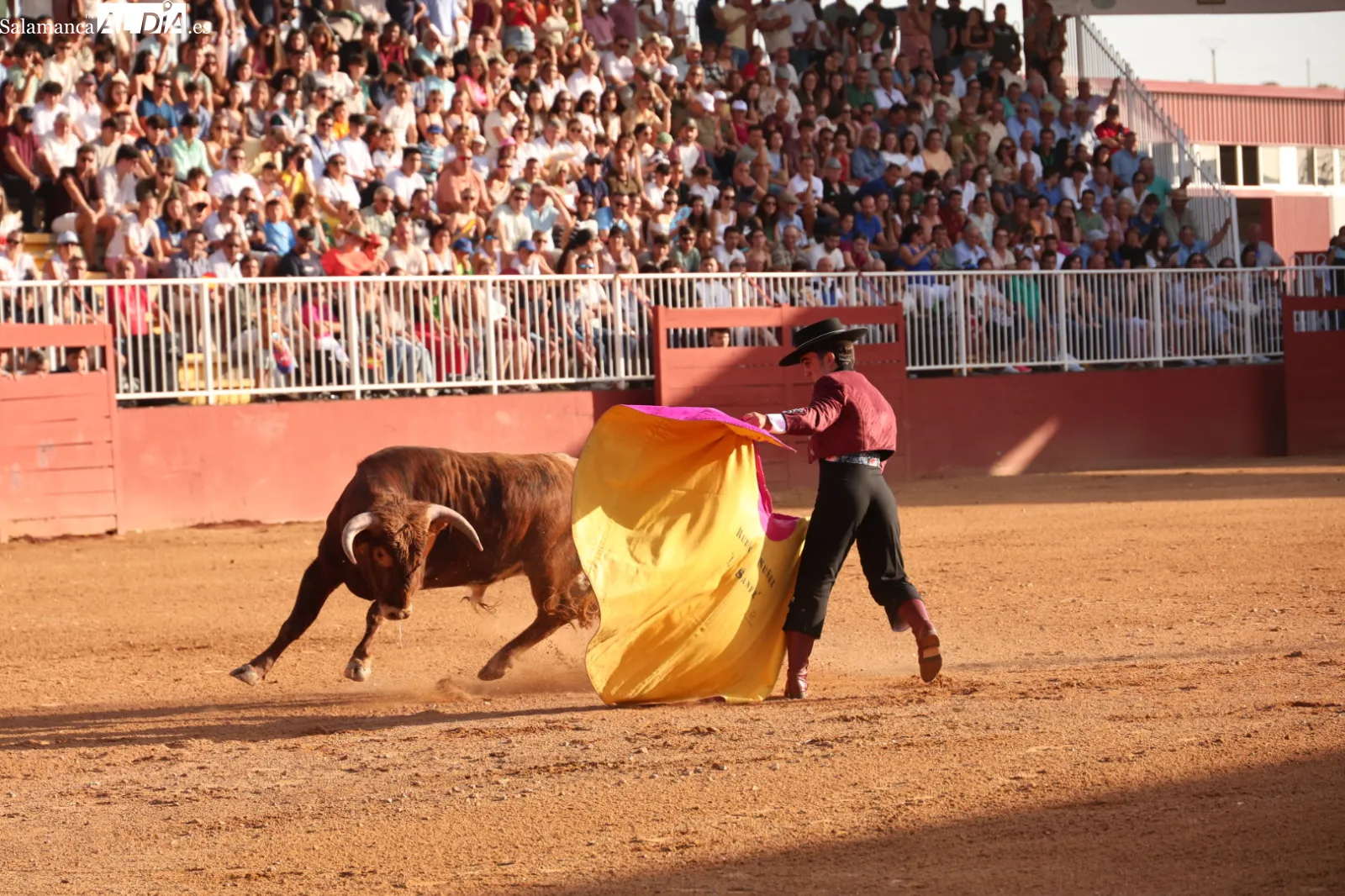 FOTOS: David Sañudo 