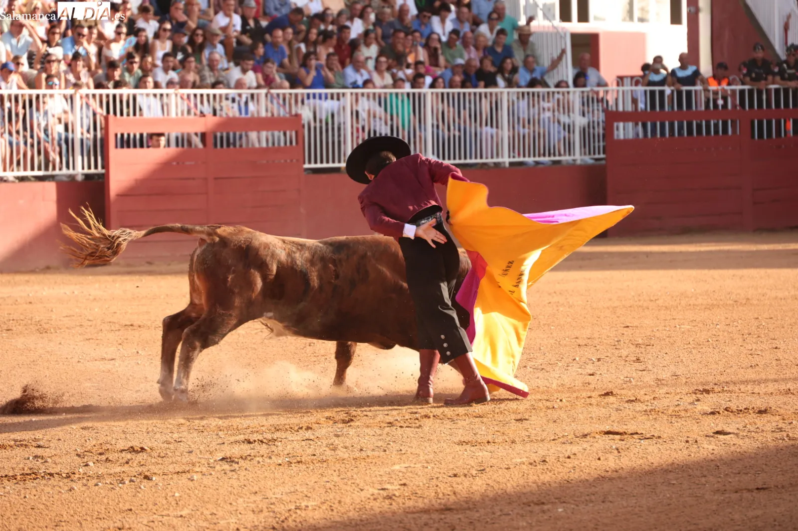 FOTOS: David Sañudo 